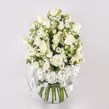 White Classic
