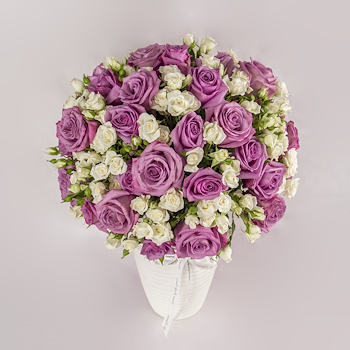 Lavender Rose