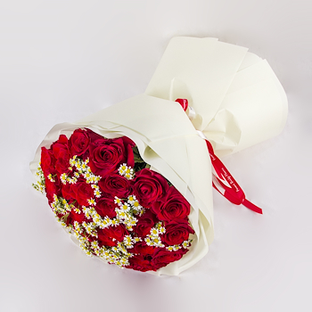 Daisy Red