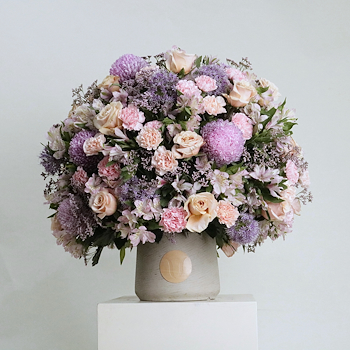 Gardenia V