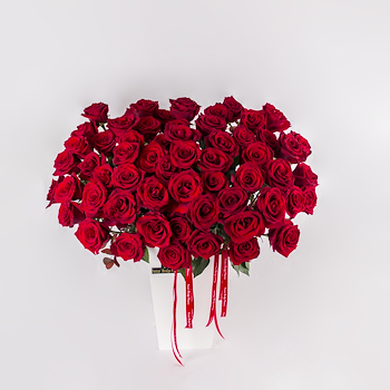 Opulent Red Roses