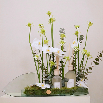 Style Gift Set Gratia
