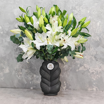Perfect Enora White