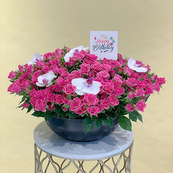 Amazing Pink
