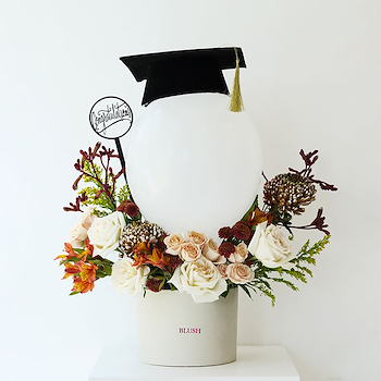 Scholar’s Smile
