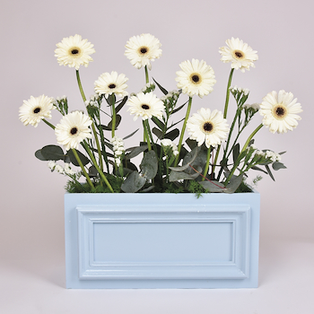 Blooming Box