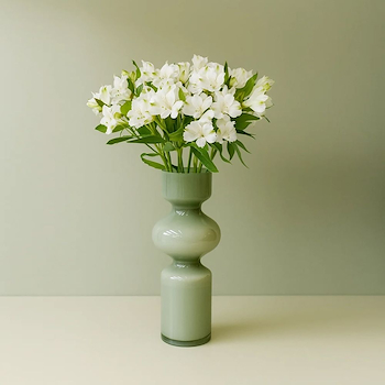 Pristine White Alstroemeria
