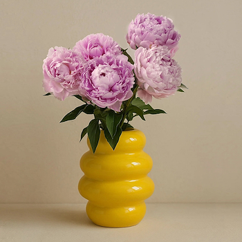 Pink Peonies Flowers