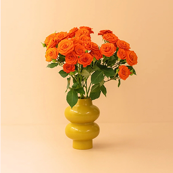 Orange Baby Roses