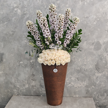 Delphinium Stand