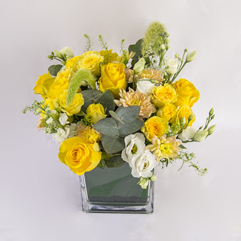 Zestful Blooms