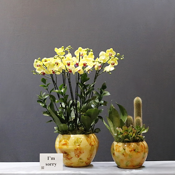 Yellow Garden Set