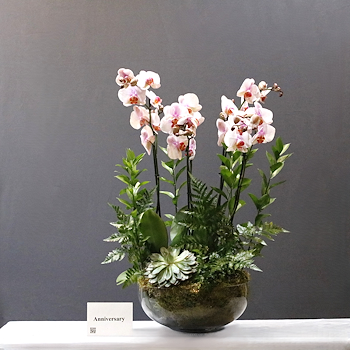 Orchid Glass Garden