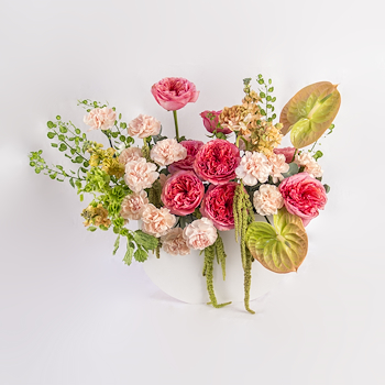 Earthy Elegance