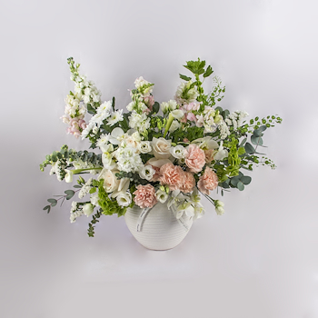 White And Peach Dreams