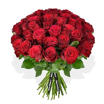 Red Rose
