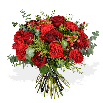 Festive Red