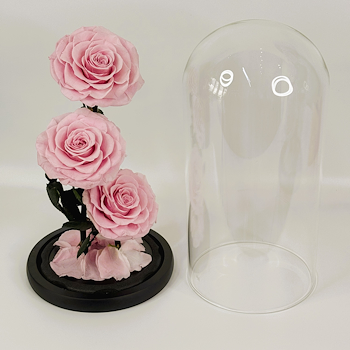Forever Rose Large Light Pink