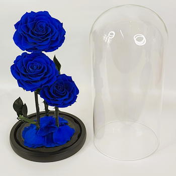 Forever Rose Large Blue