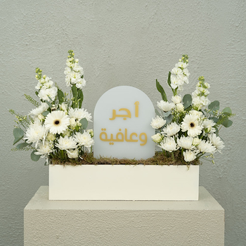 Pure White 5