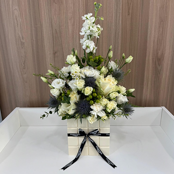 Luxury 12