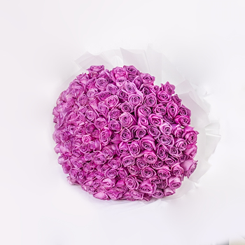 The Grand Violet