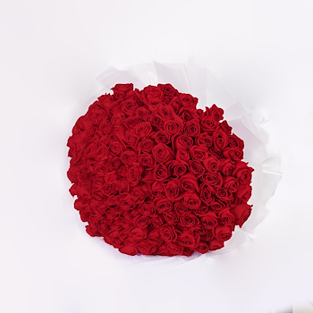 The Grand Red
