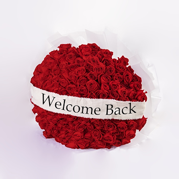 The Ultimate Red Rose