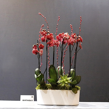 Gorgeous Red Art