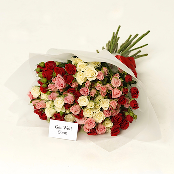 Mix Baby Rose