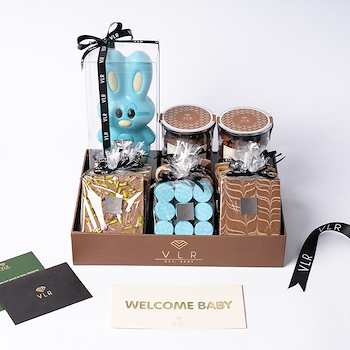 Blue Bunny Package 2