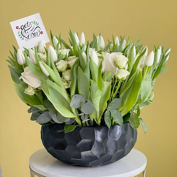 Tulips Delight