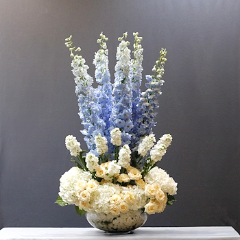 Blue Delphenium
