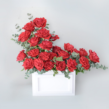 Roses Of Happiness