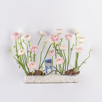 Floral Scape