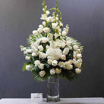 Gladiolus Hydrangea 11