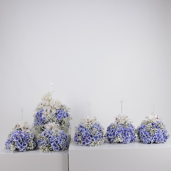 Violet Symphony