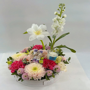 Blooming Tray