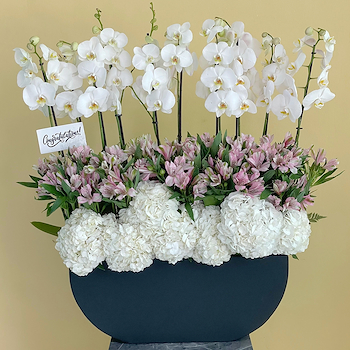 Luxury Blooms