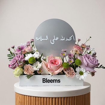 النقاء من بليمز