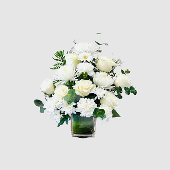 White Whisper