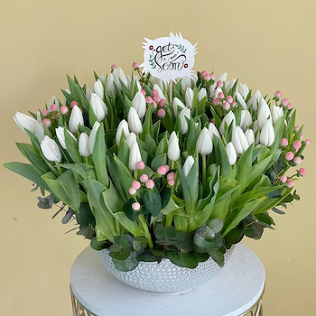 Tulips Delight 1