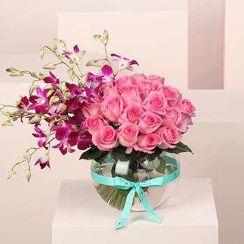 Pink Orchid Purity