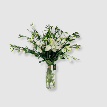 Eustoma Bloom