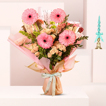 Gerbera