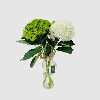 Hydrangea Vase