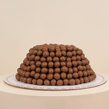 Molt Mountain Cake