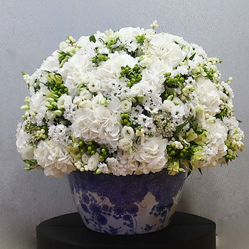 Snow Blossom XL
