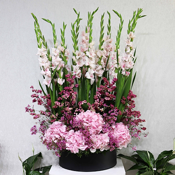 Floral Thrills Pretty