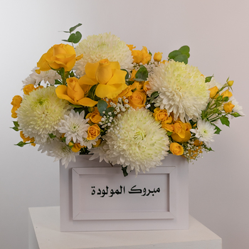 Cheerful Box